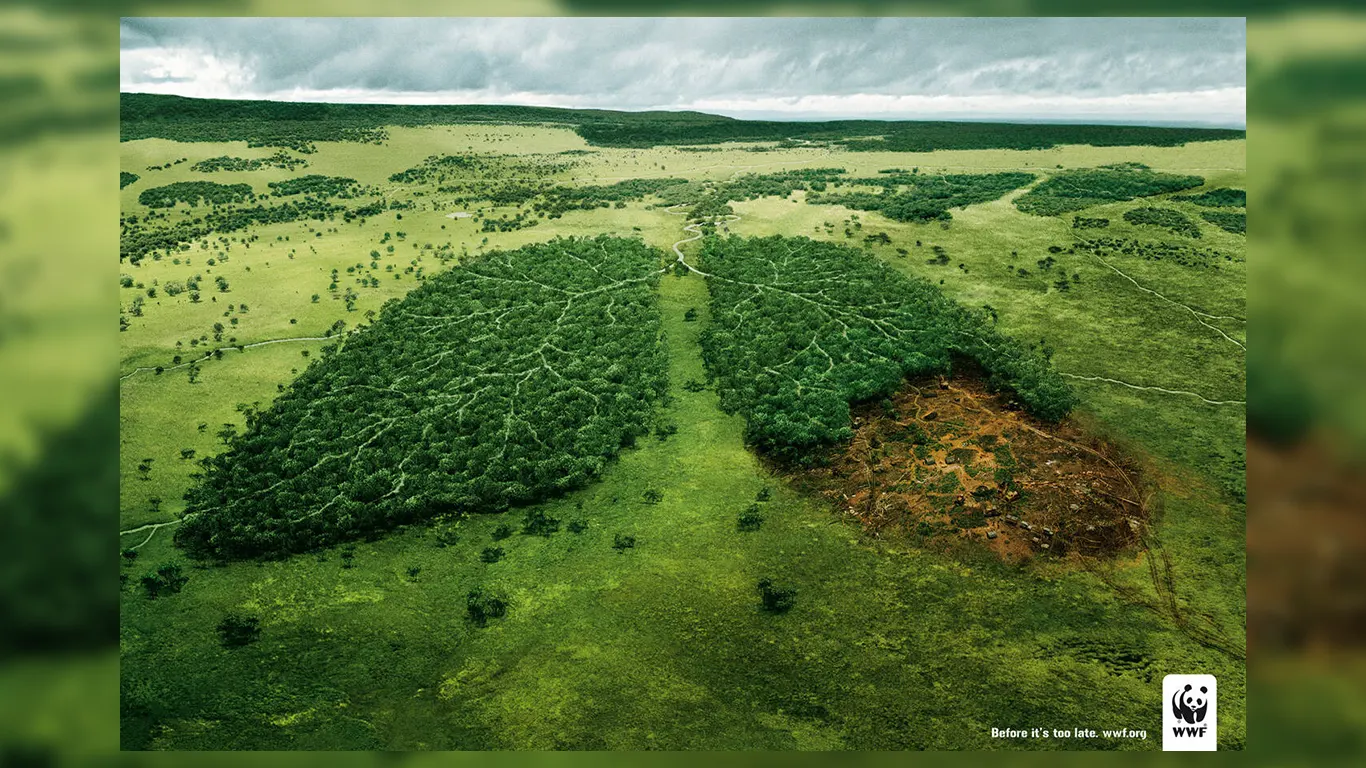 wwf lungs ad