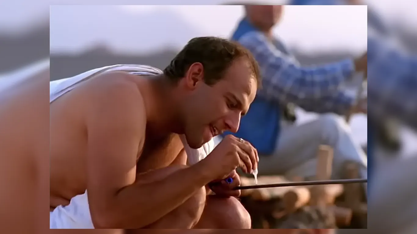 fevicol fish ad