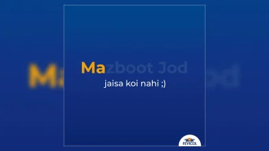 fevicol mothers day social media post